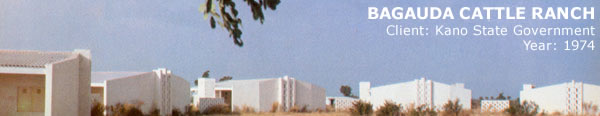 bagauda
